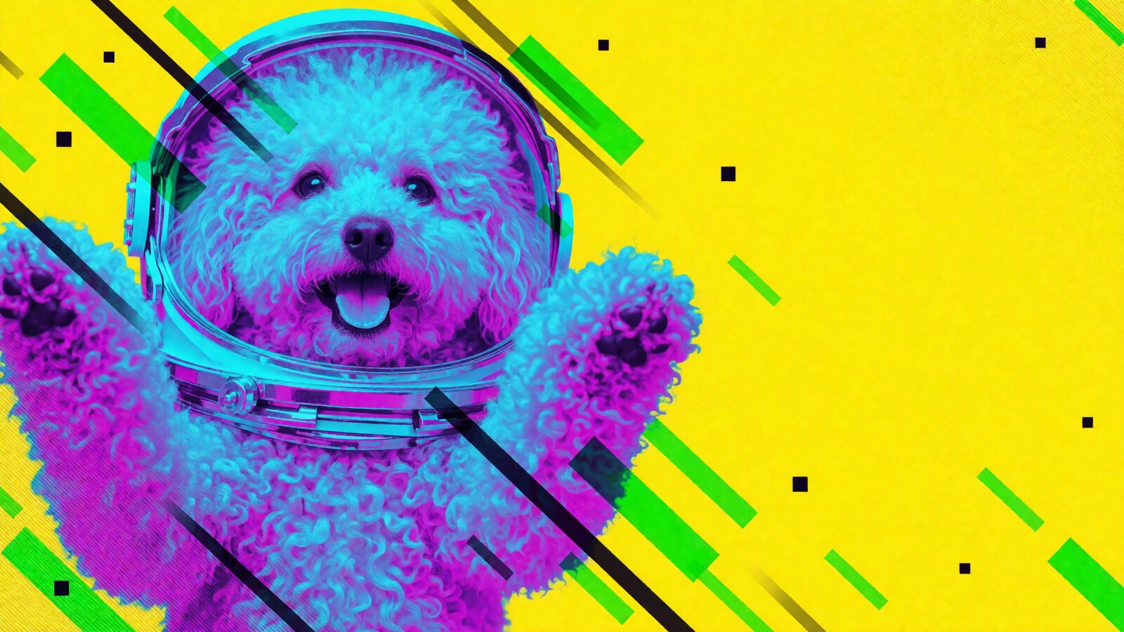 Poodle wearing an astronaut suit.
