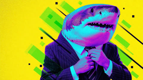 Sogni result: shark CEO