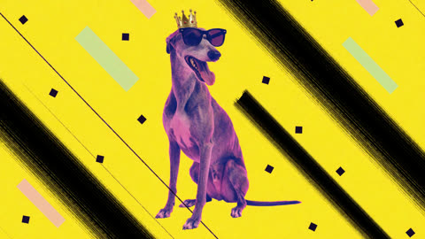 Sogni result: dog wearing a crown